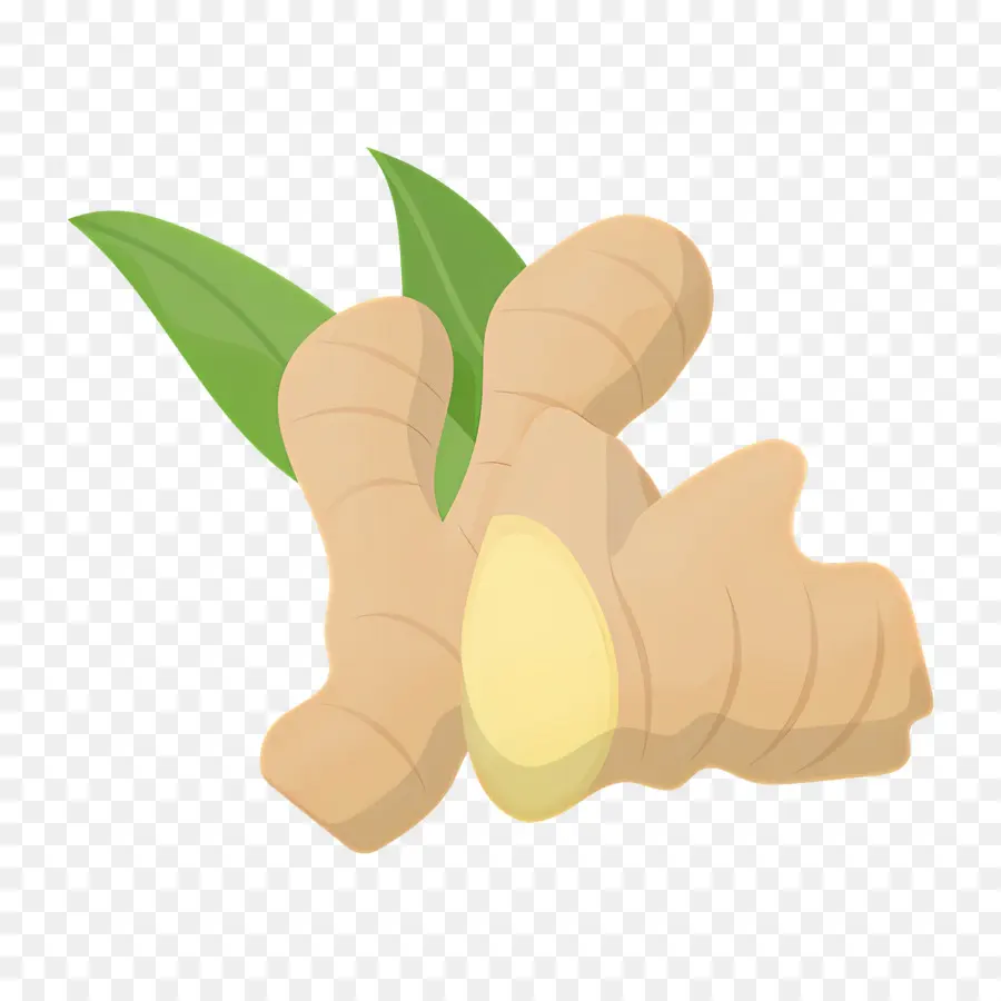 Curcuma，Gingembre PNG