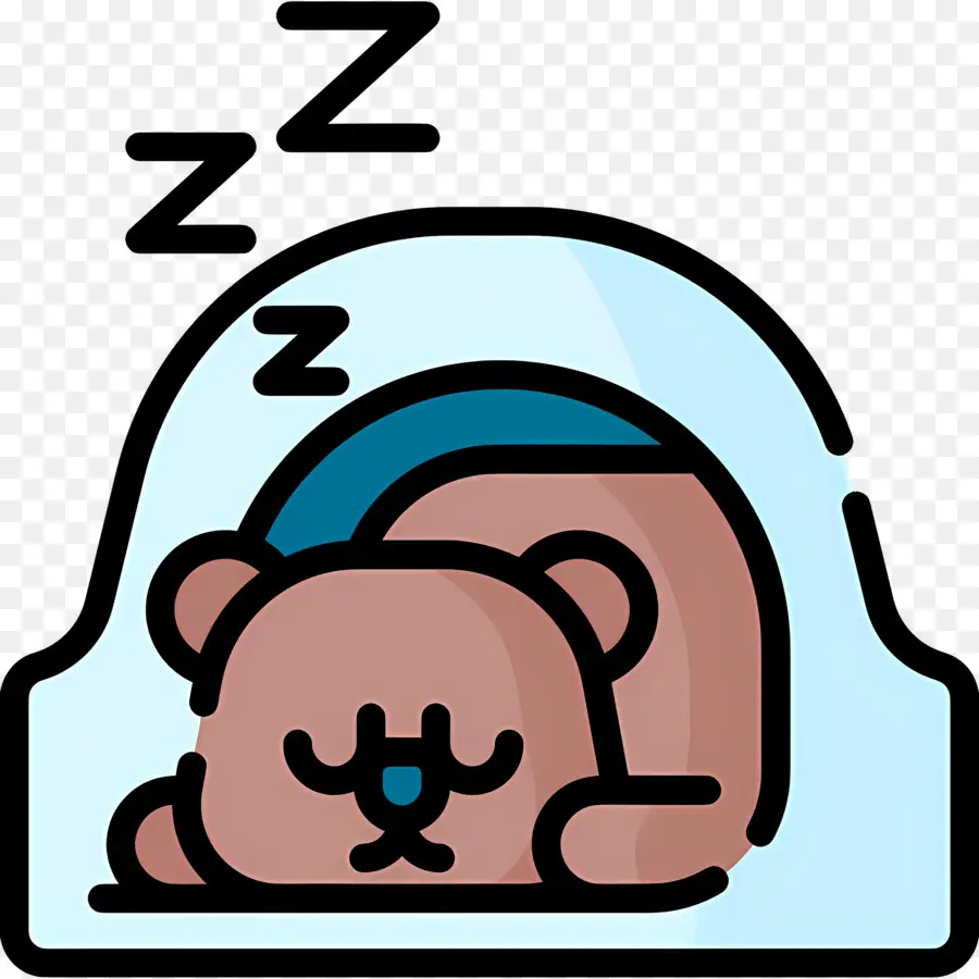 Dormir Zzz，Ours Endormi PNG