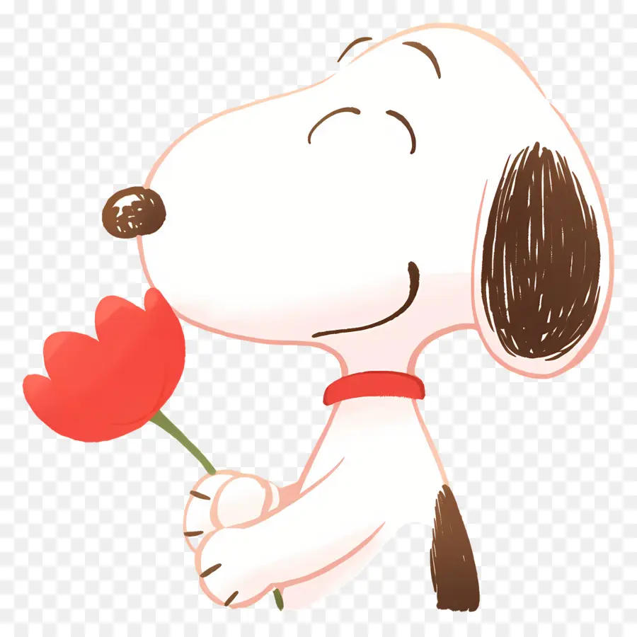 Snoopy，Chien De Dessin Animé Avec Fleur PNG