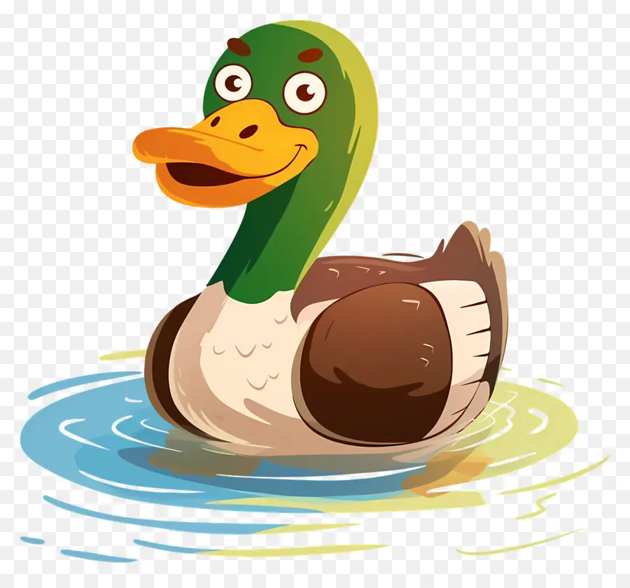 Caricature De Canard，Canard Dans L'eau PNG