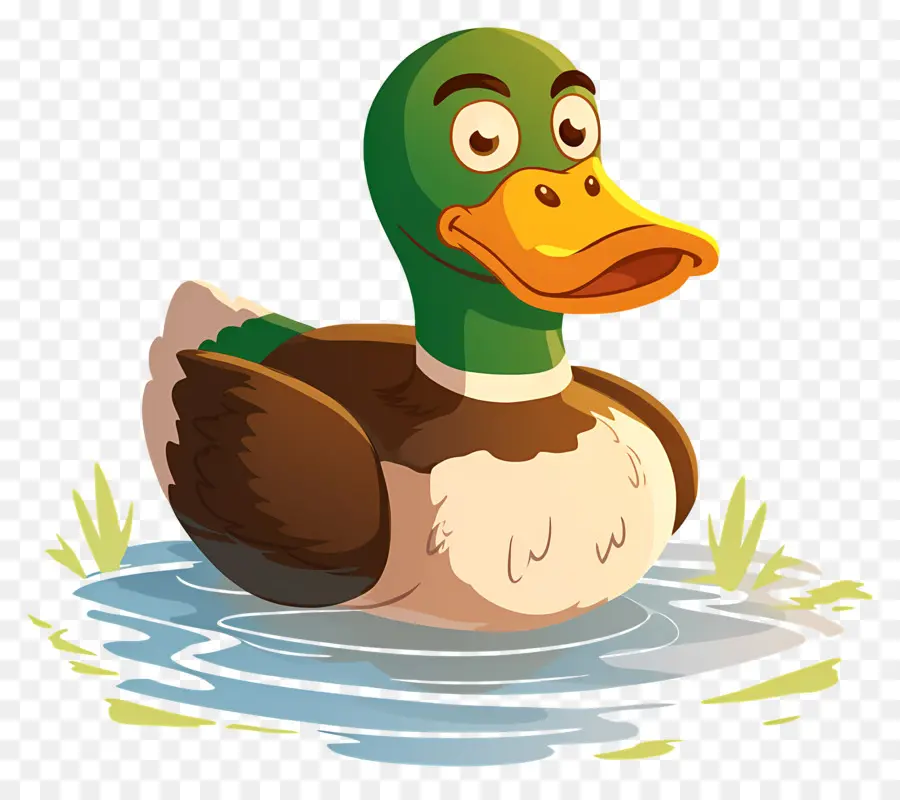 Caricature De Canard，Canard De Dessin Animé PNG