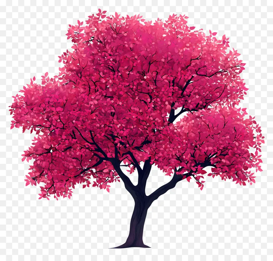 Plan D'arbre，Arbre Rose PNG