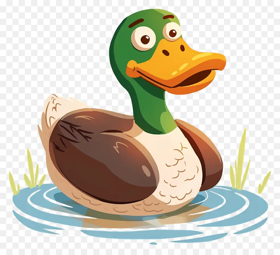 Caricature De Canard，Canard Dans L'eau PNG