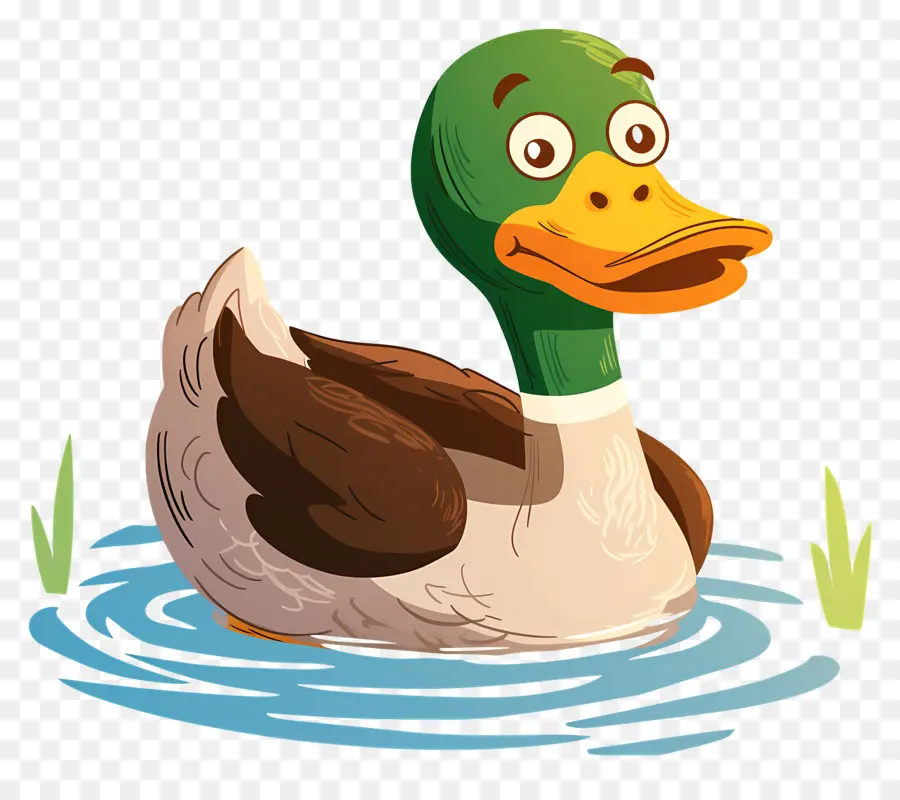 Caricature De Canard，Canard Dans L'eau PNG