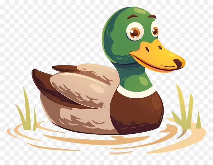 Caricature De Canard，Canard Dans L'eau PNG