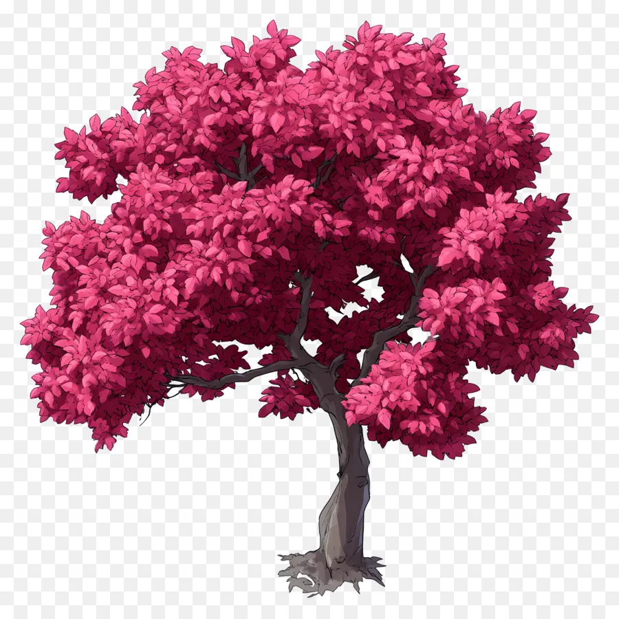 Plan D'arbre，Arbre Rose PNG