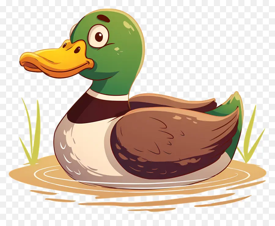 Caricature De Canard，Canard Vert PNG