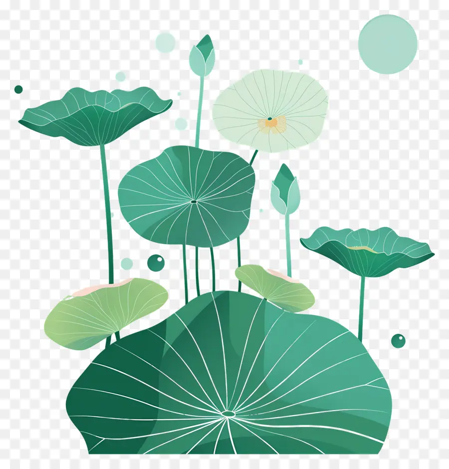 Feuilles De Lotus，Feuilles Et Fleurs De Lotus PNG