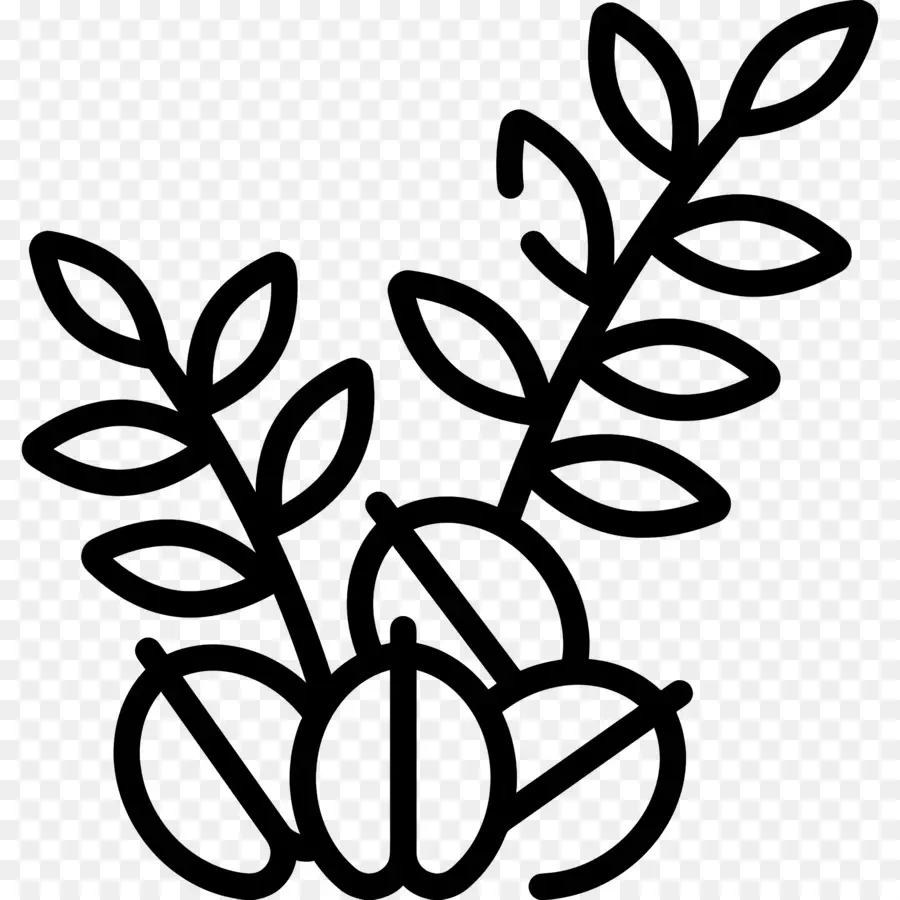 Avoine，Plante D'avoine PNG