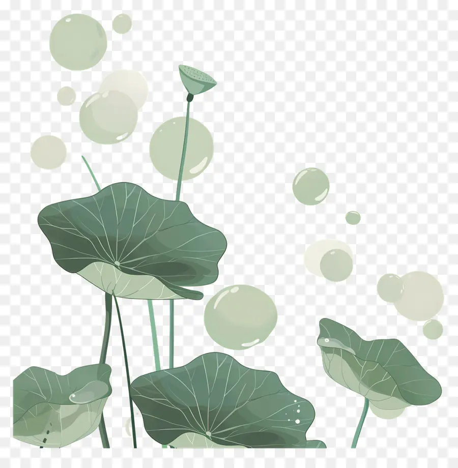 Feuilles De Lotus，Feuilles Et Fleurs De Lotus PNG