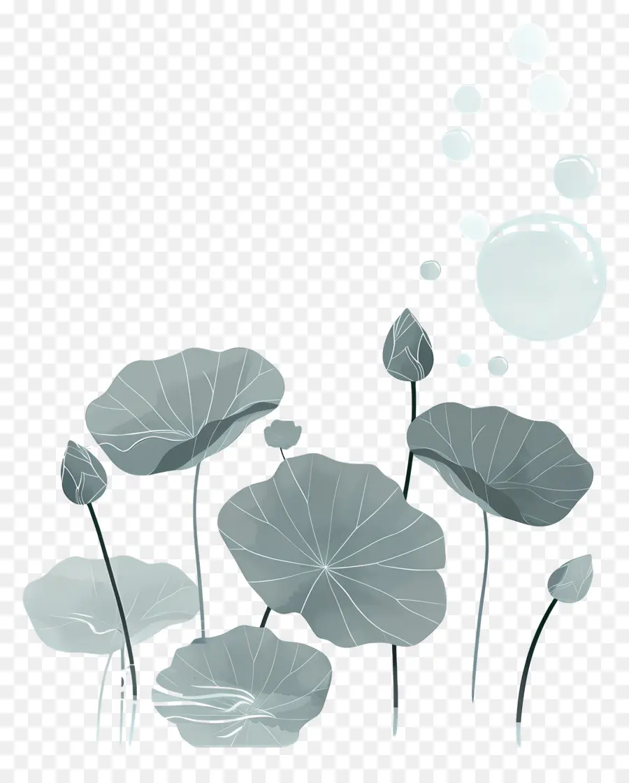 Feuilles De Lotus，Feuilles Et Fleurs De Lotus PNG