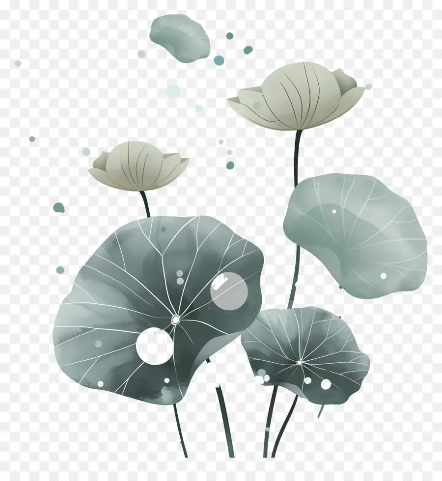 Feuilles De Lotus，Feuilles Et Fleurs De Lotus PNG