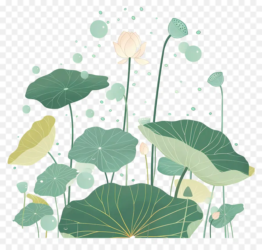 Feuilles De Lotus，Feuilles Et Fleurs De Lotus PNG