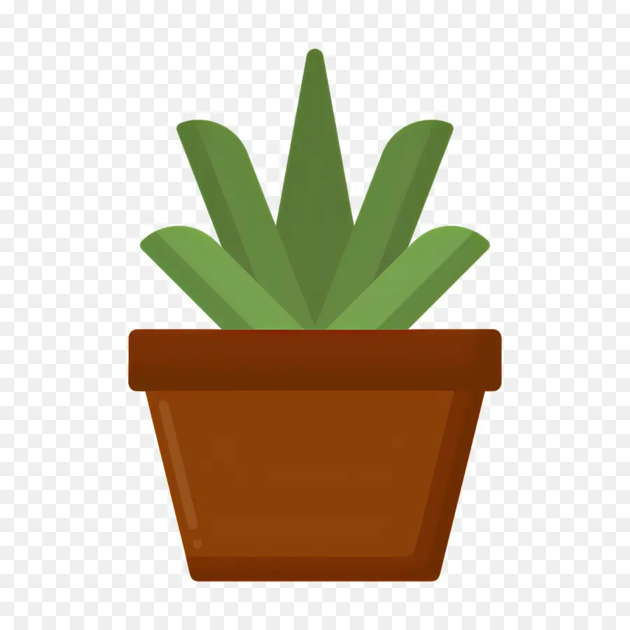 Aloe Vera，Aloe Vera En Pot PNG