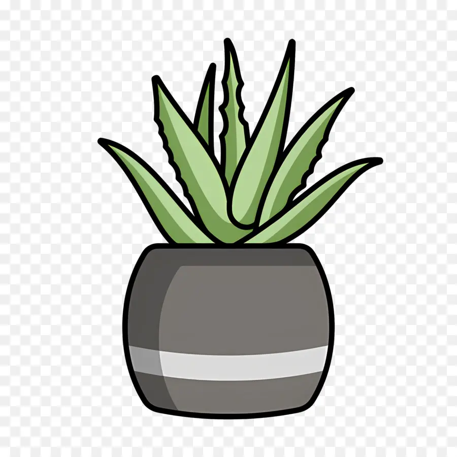 Aloe Vera，Plante En Pot PNG