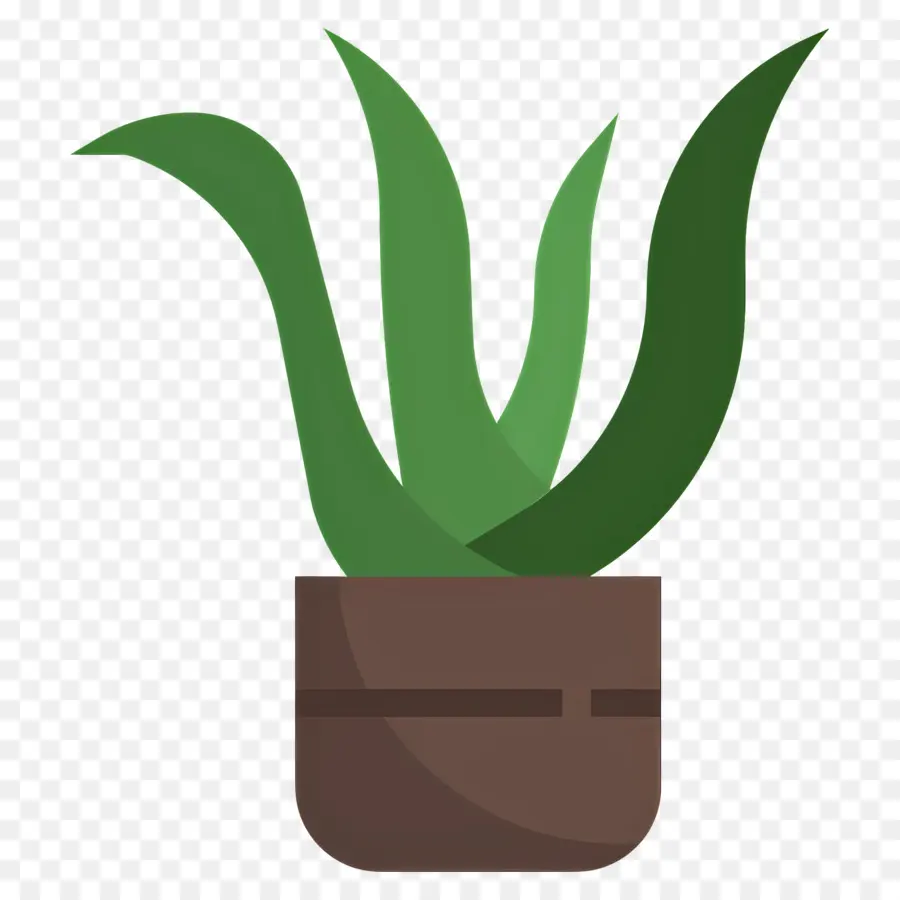 Aloe Vera，Aloe Vera En Pot PNG