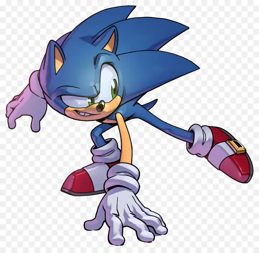 Sonic Le Hérisson，Personnage De Hérisson PNG