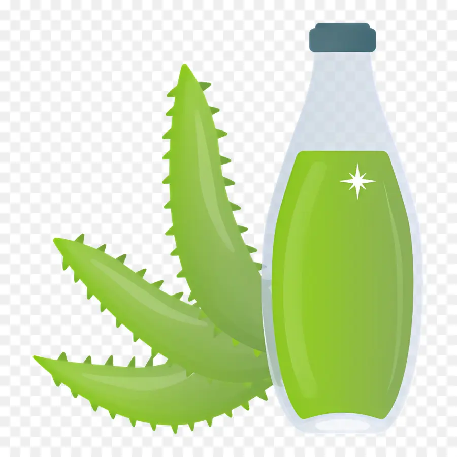 Aloe Vera，Aloé Véra PNG