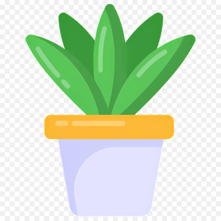 Aloe Vera，Plante Verte PNG