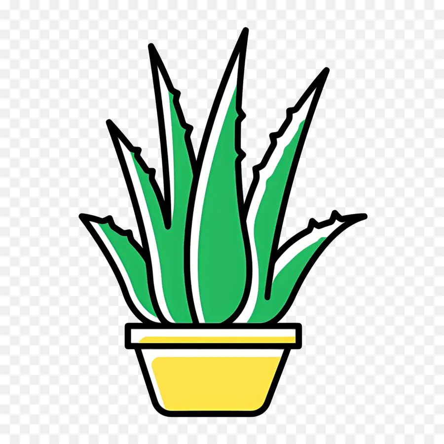 Aloe Vera，Aloe Vera En Pot PNG