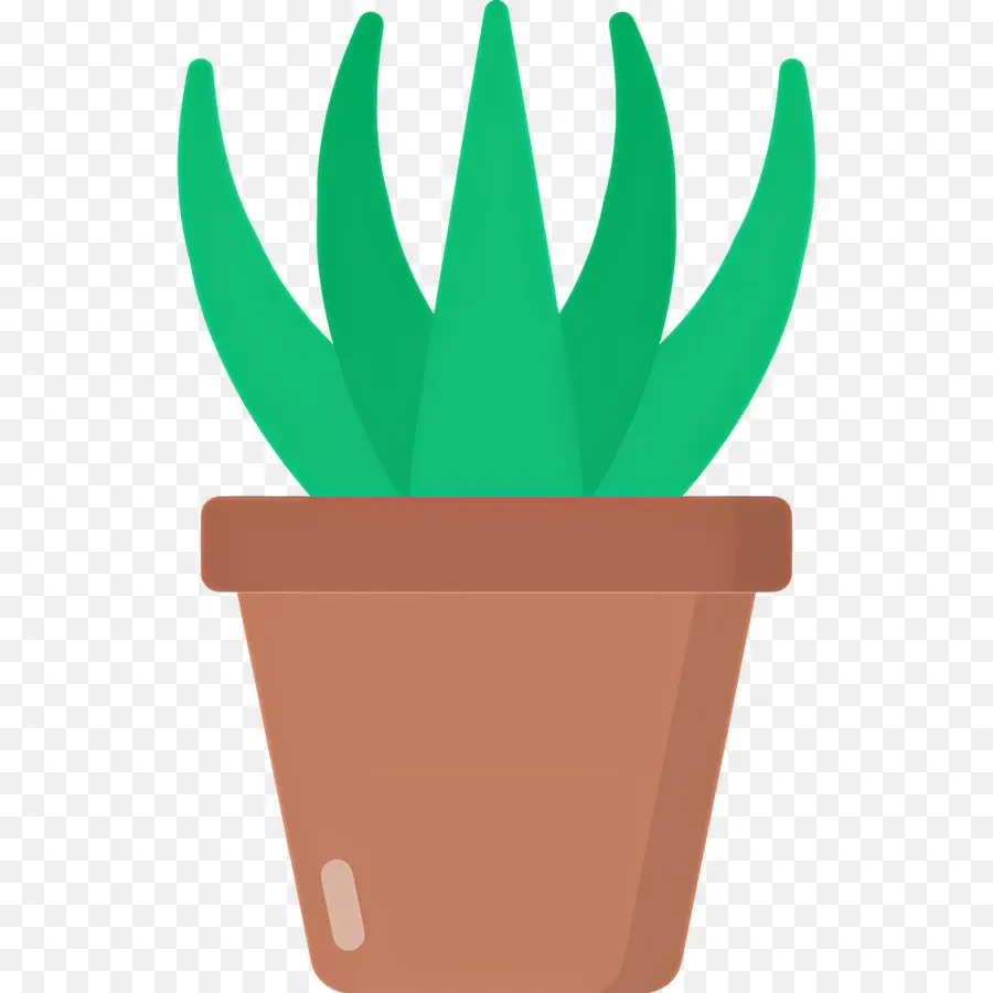 Aloe Vera，Aloe Vera En Pot PNG