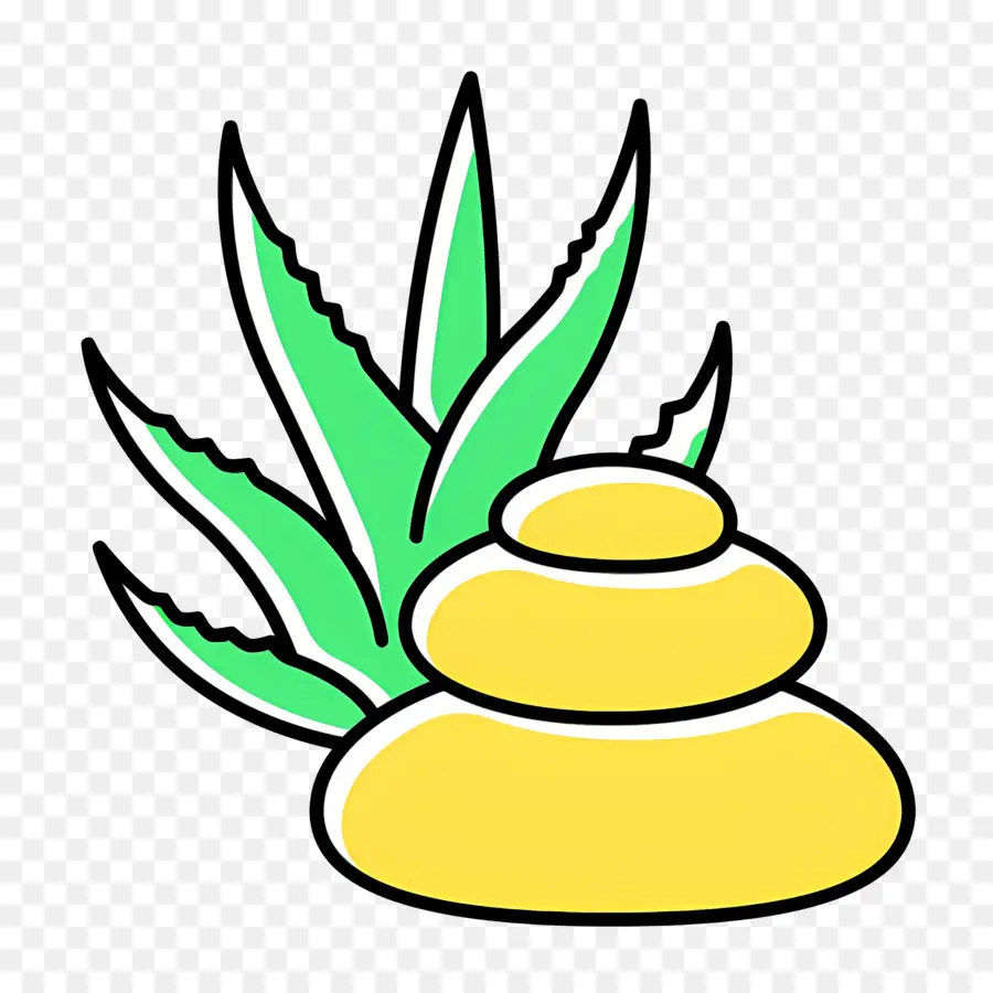 Aloe Vera，Crème à L'aloe Vera PNG