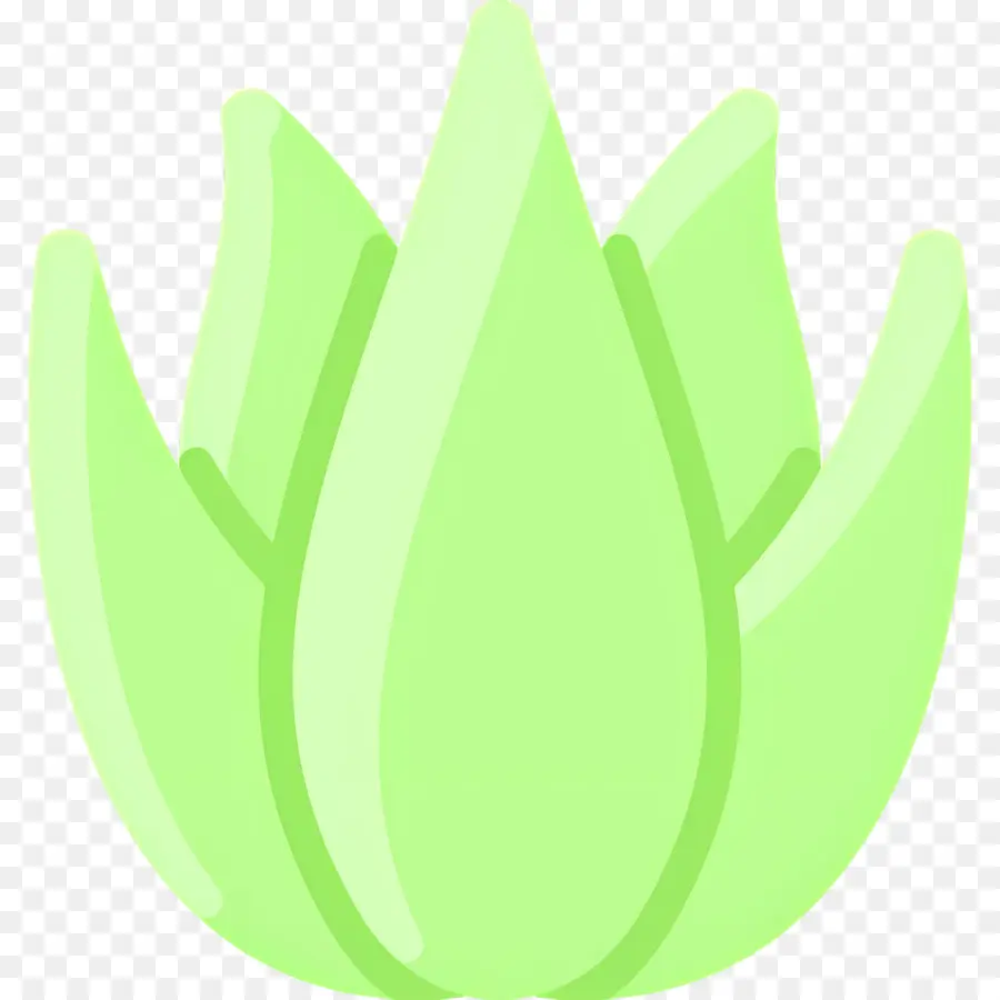 Aloe Vera，Plante Verte PNG