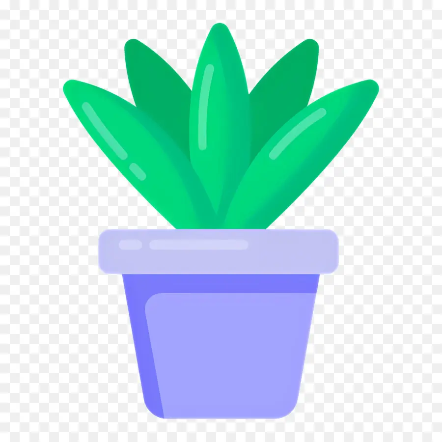 Aloe Vera，Plante Verte PNG