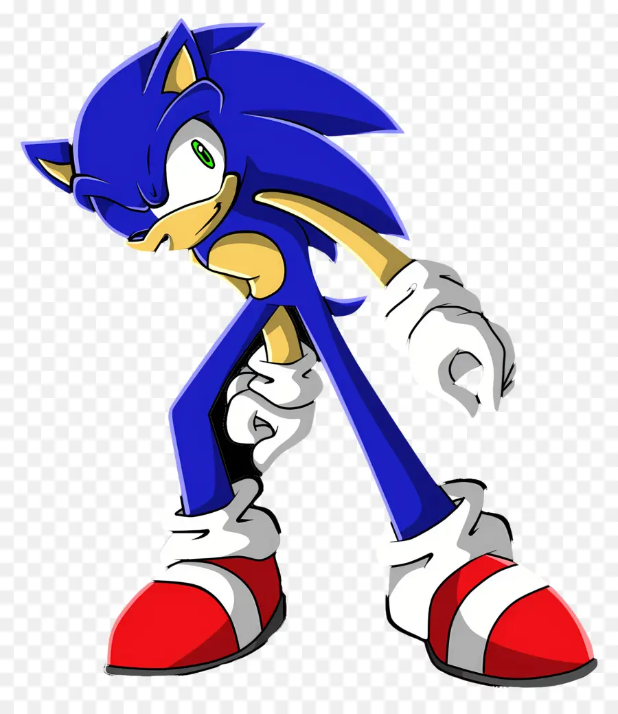 Sonic Le Hérisson，Personnage De Hérisson PNG