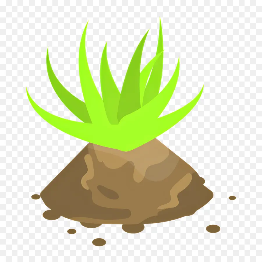 Aloe Vera，Plante Verte PNG