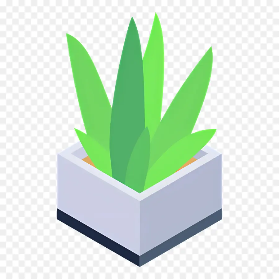 Aloe Vera，Plante En Pot PNG