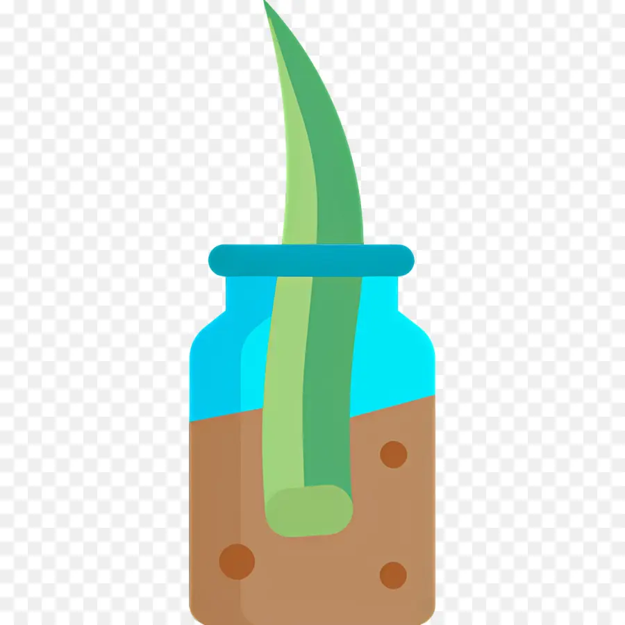 Aloe Vera，Aloès En Pot PNG