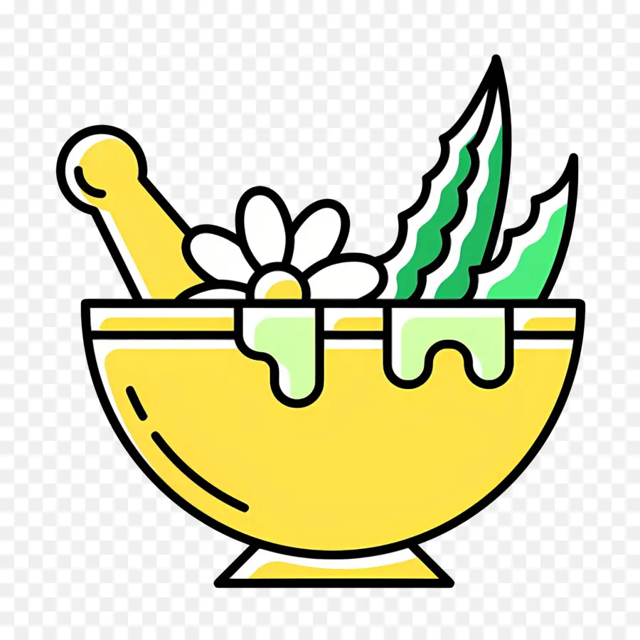 Aloe Vera，Aloès Et Fleurs PNG