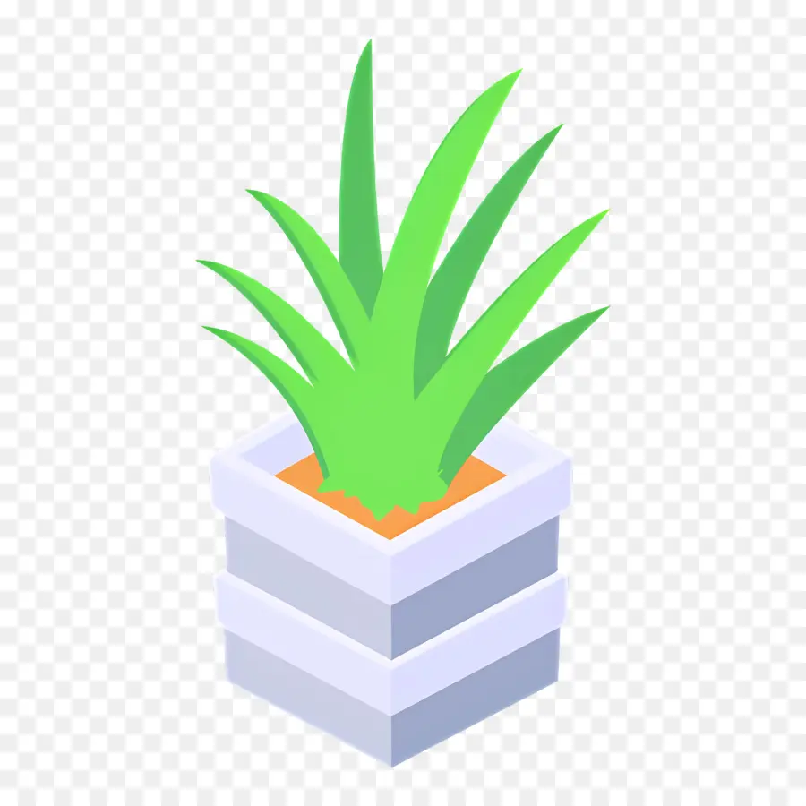 Aloe Vera，Plante En Pot PNG