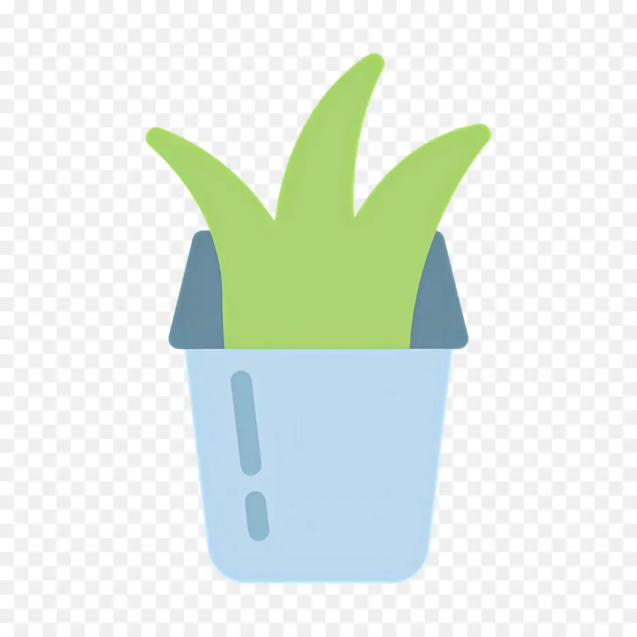 Aloe Vera，Aloès En Pot PNG