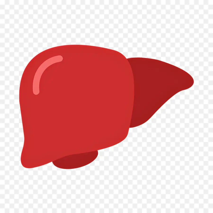 Foie，Foie Simple PNG