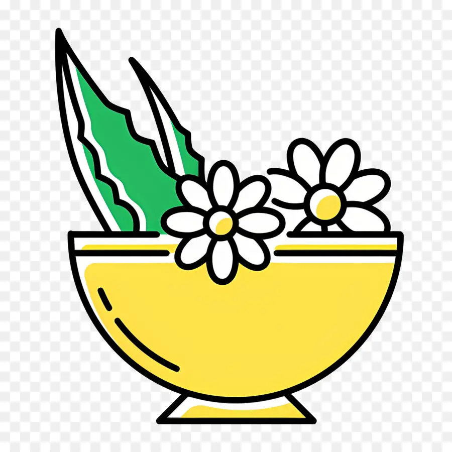 Aloe Vera，Aloès Et Fleurs PNG