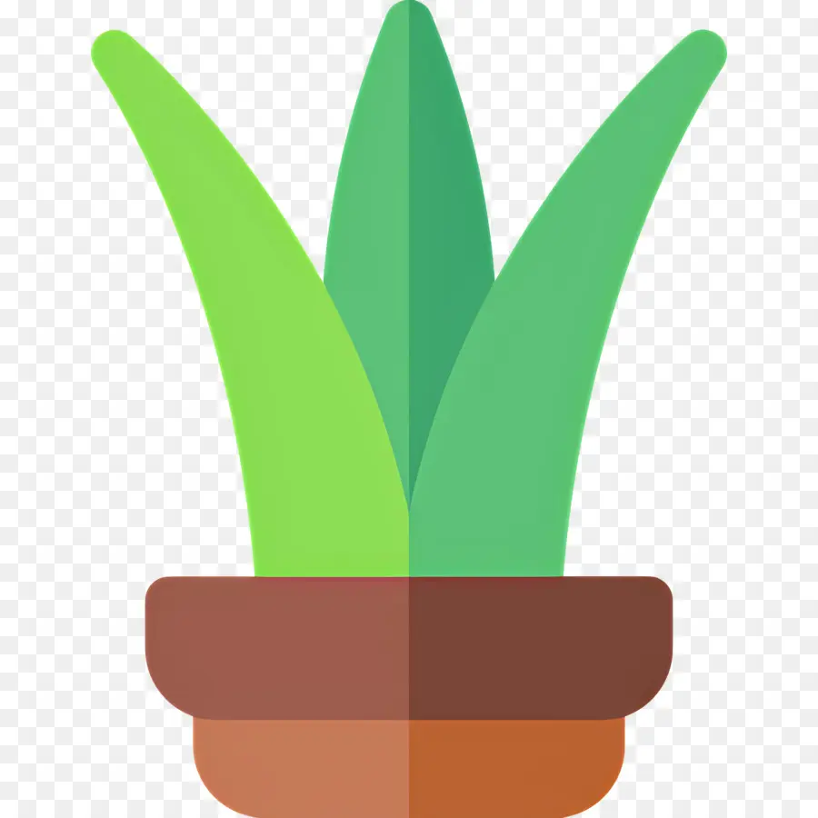 Aloe Vera，Aloe Vera En Pot PNG