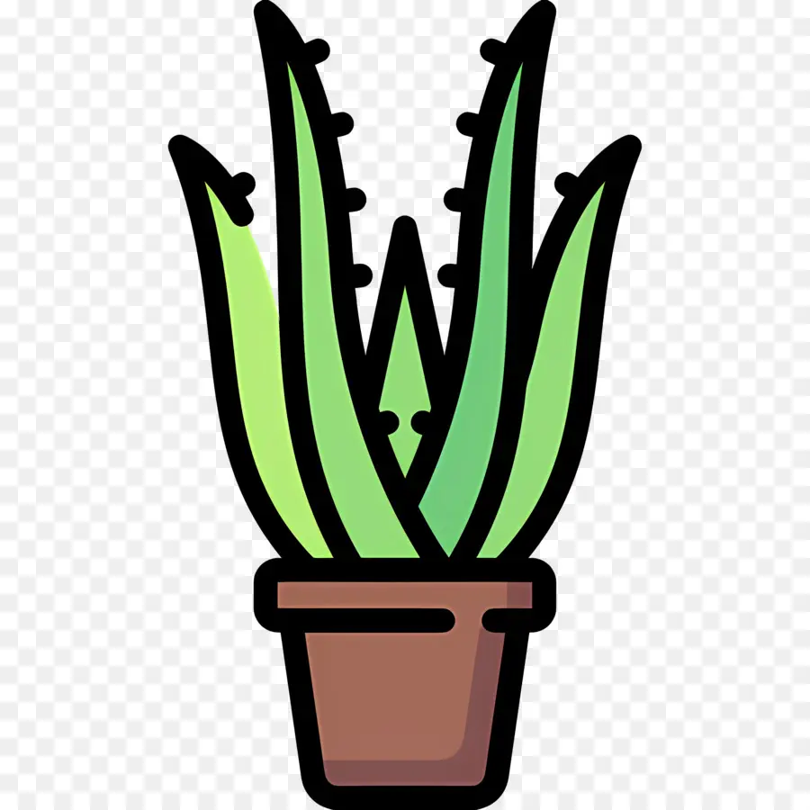 Aloe Vera，Aloe Vera En Pot PNG