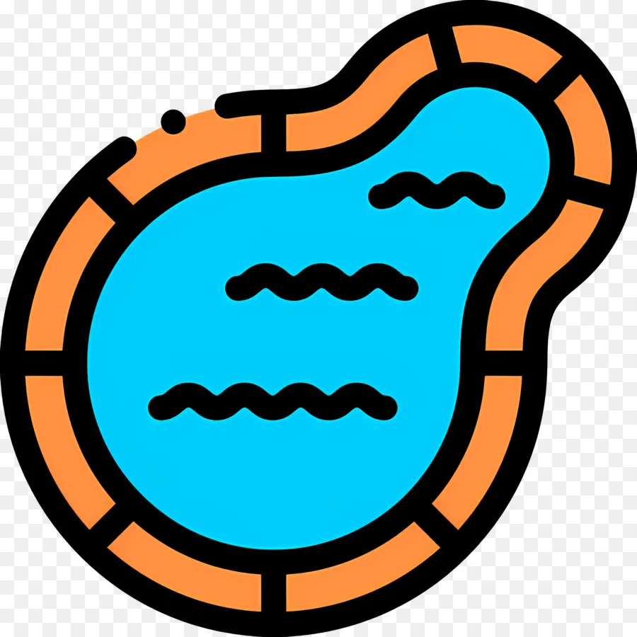 Piscine，Eau PNG