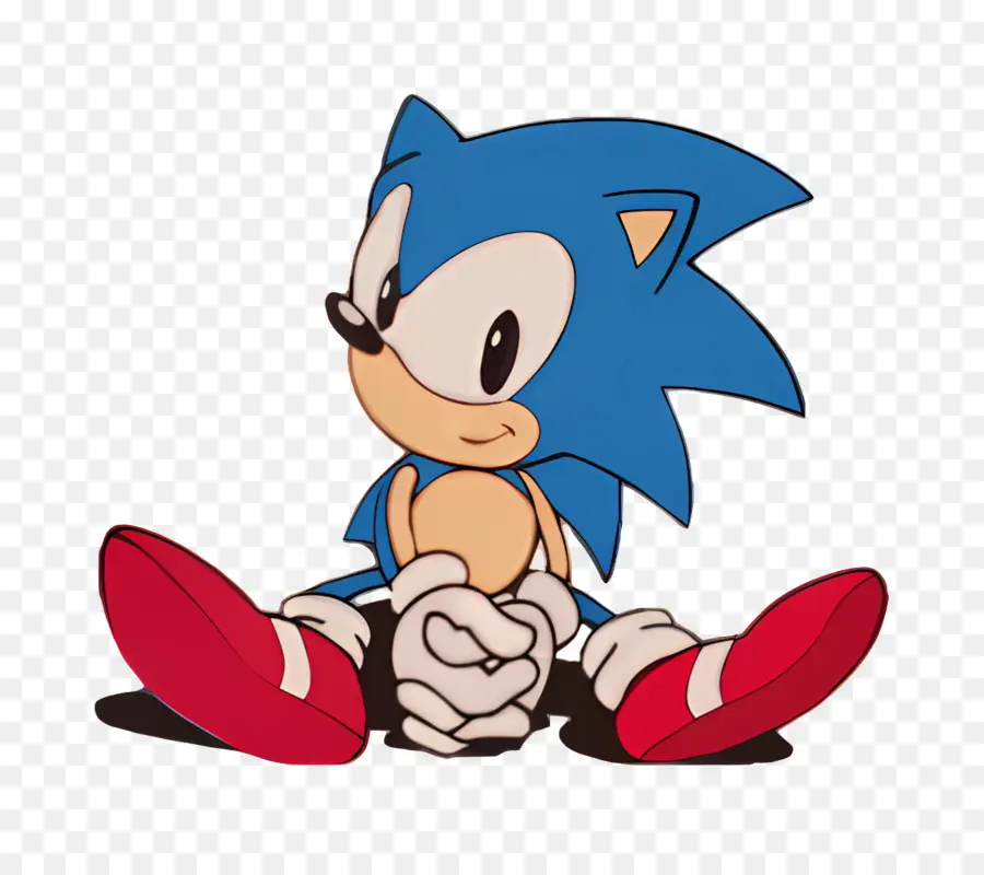 Sonic Le Hérisson，Personnage De Hérisson PNG