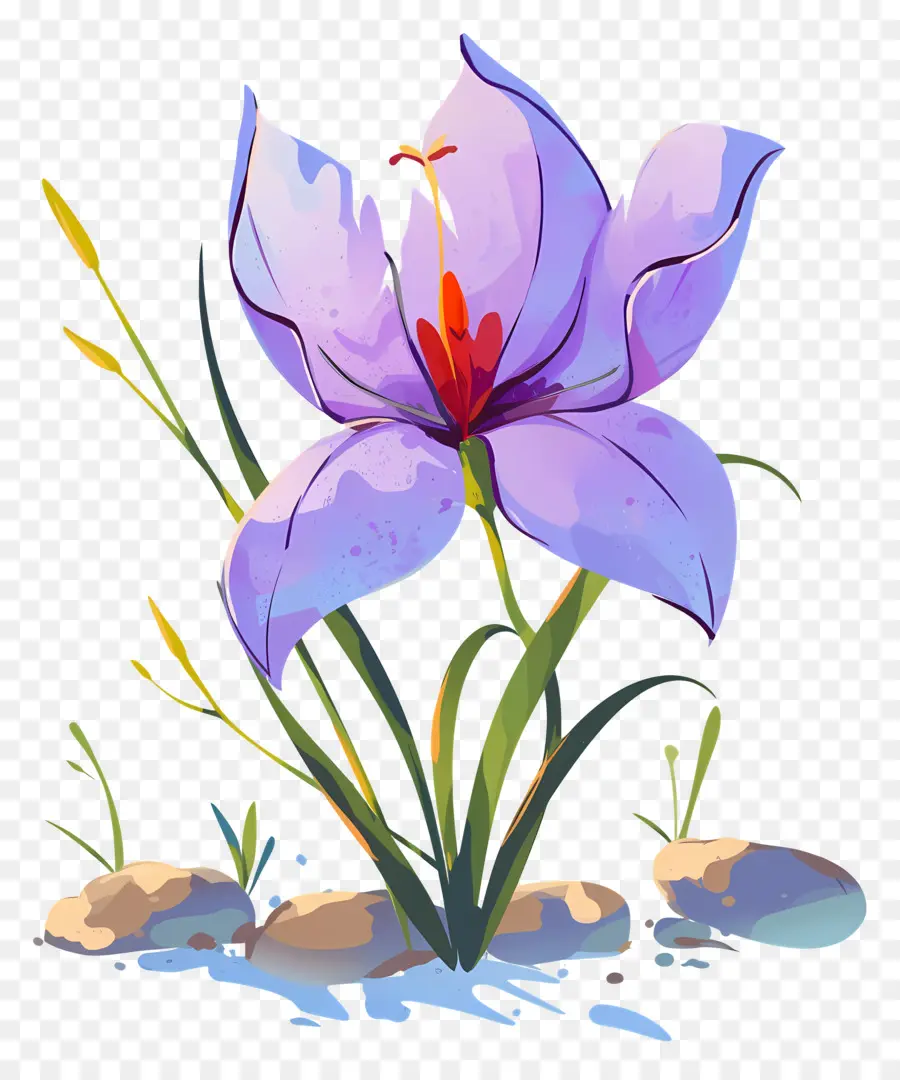 Fleur De Safran，Fleur Violette PNG