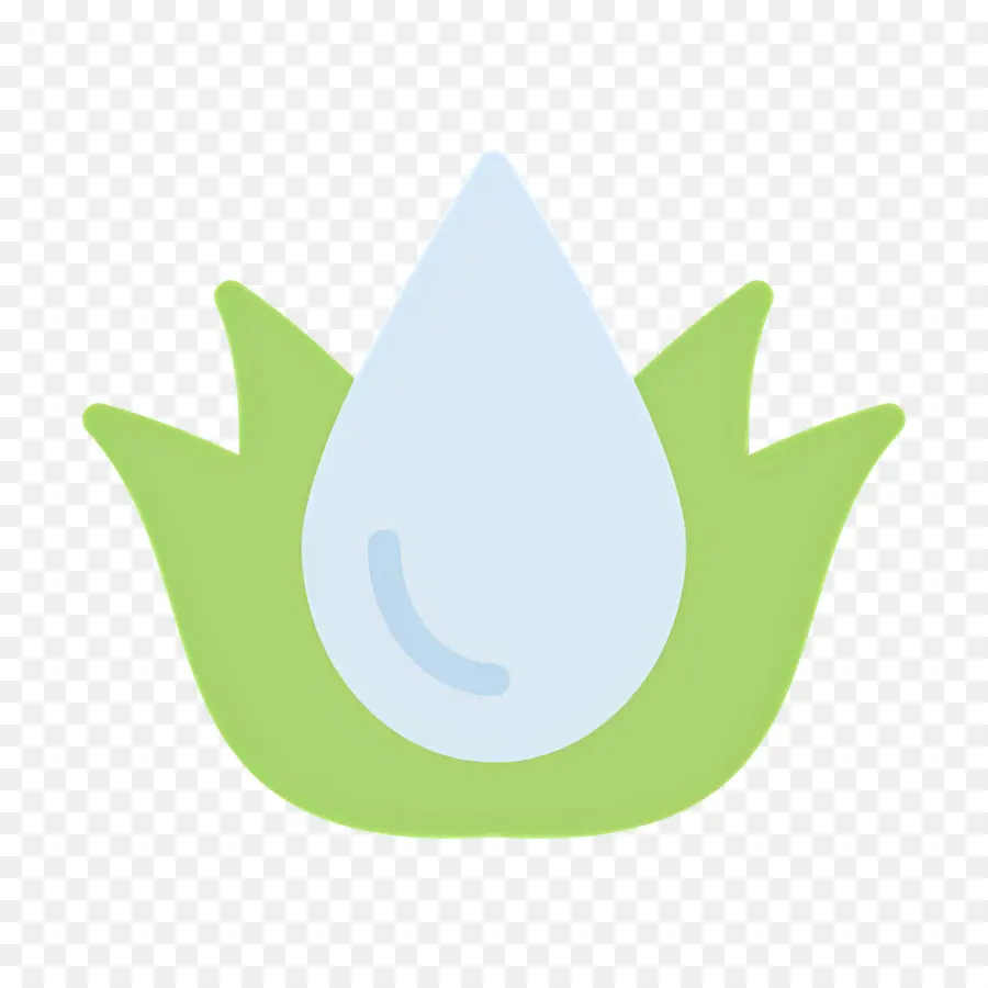 Aloe Vera，Goutte D'eau PNG