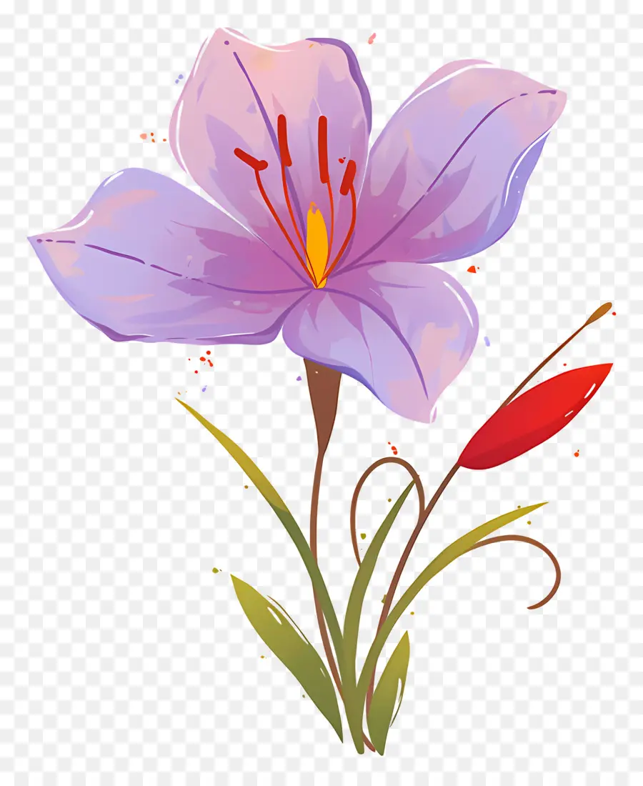 Fleur De Safran，Fleur Violette PNG