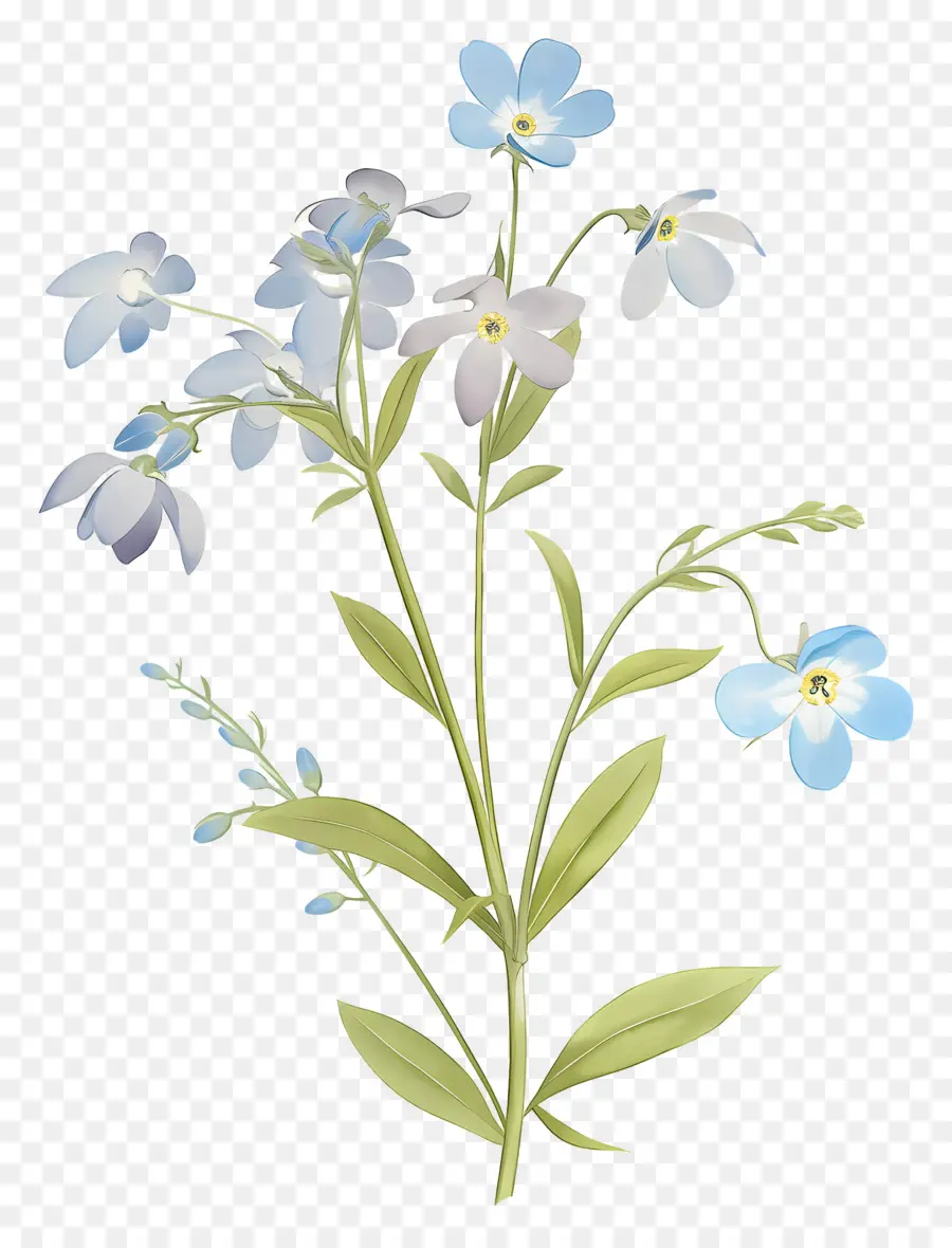 Ne M'oublie Pas La Fleur，Fleurs Bleues PNG