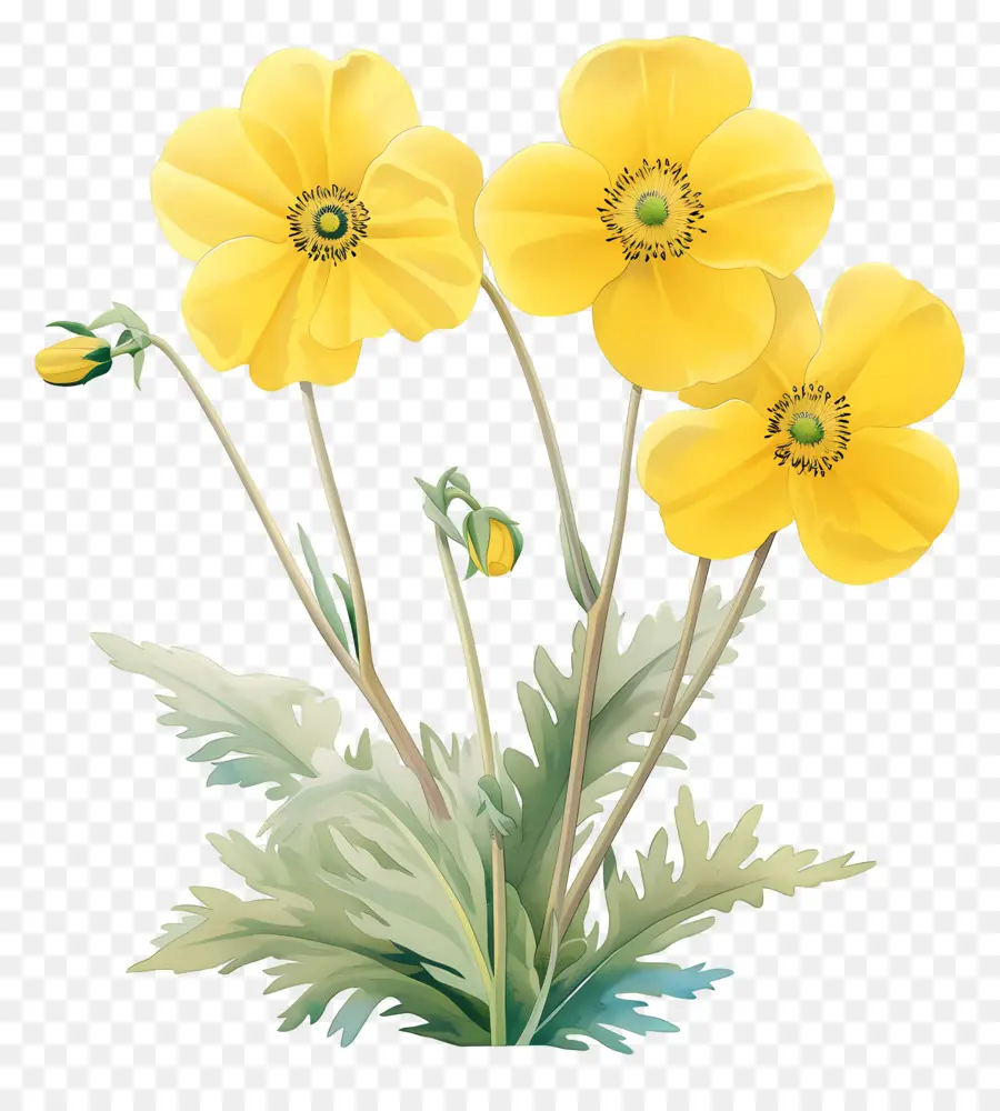 Fleur De Primevère，Fleurs Jaunes PNG