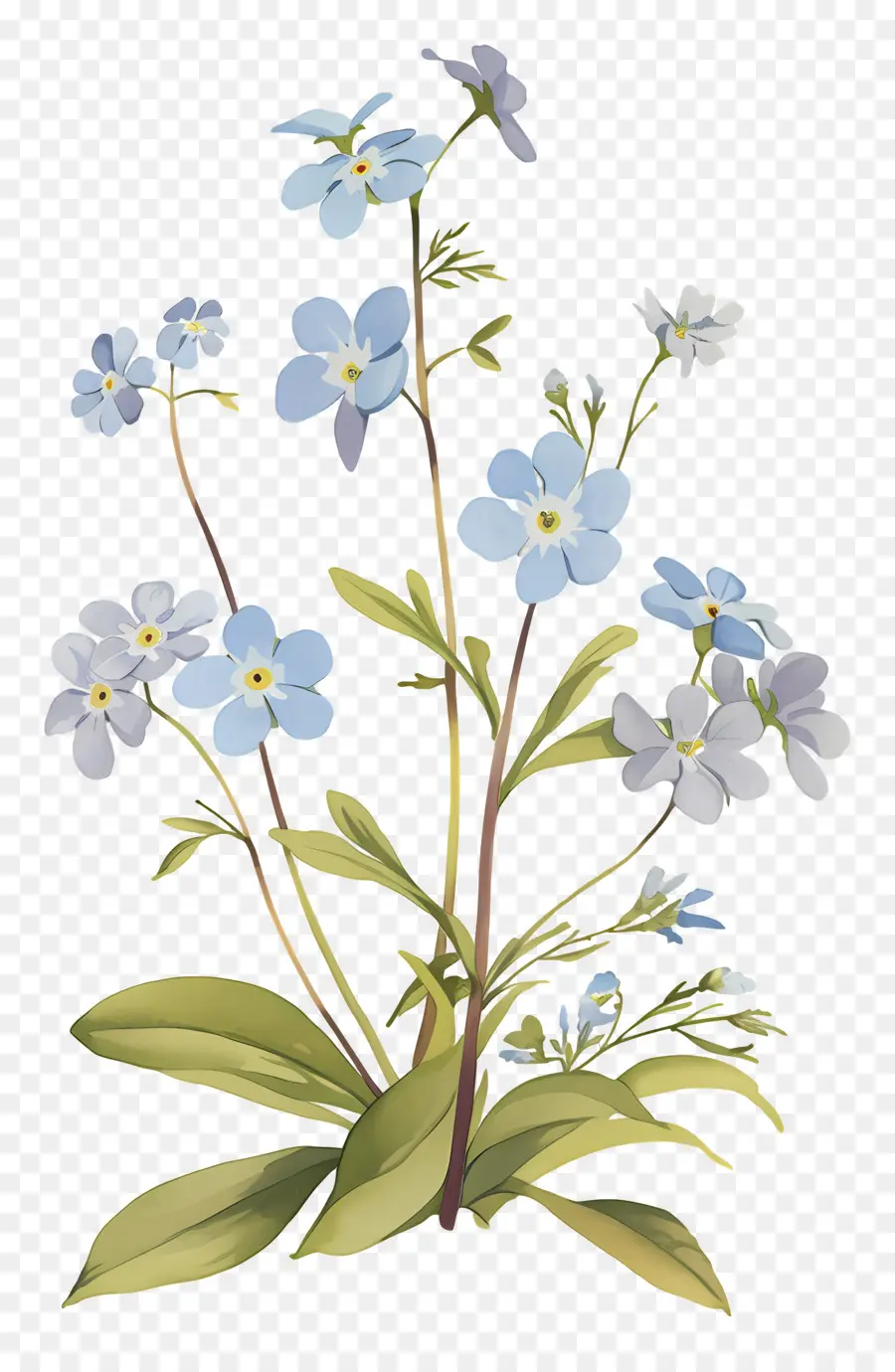 Ne M'oublie Pas La Fleur，Fleurs Bleues PNG