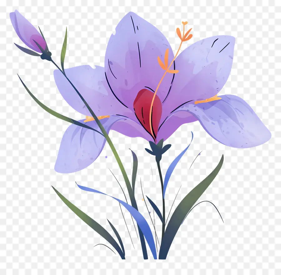 Fleur De Safran，Fleur Violette PNG