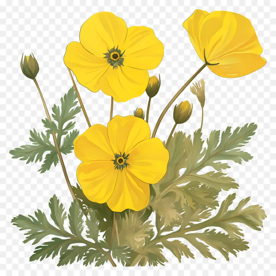 Fleur De Primevère，Fleurs Jaunes PNG