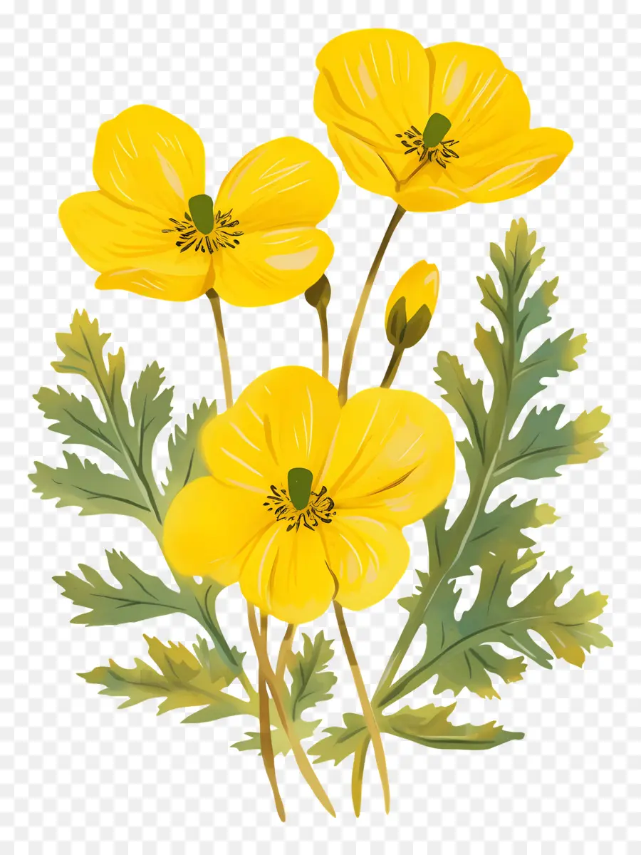 Fleur De Primevère，Fleurs Jaunes PNG